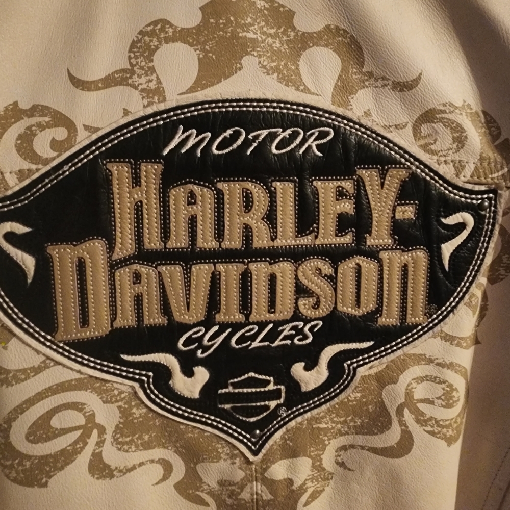 Harley Davidson Leather Jacket